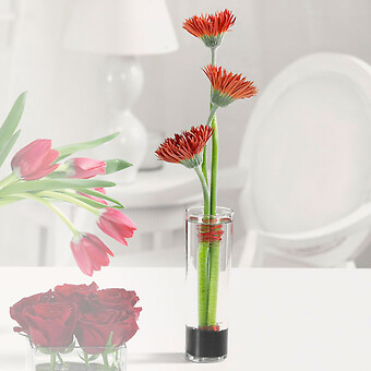 Spider Gerberas in Bud Vase